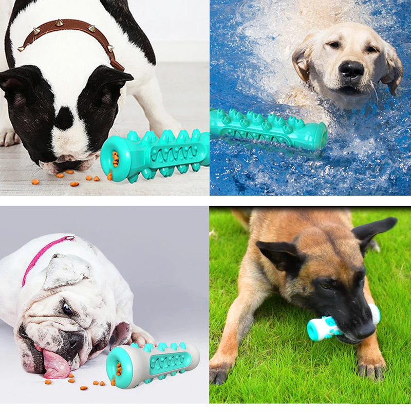 Diversão que Cuida da Saúde Bucal do Seu Cão