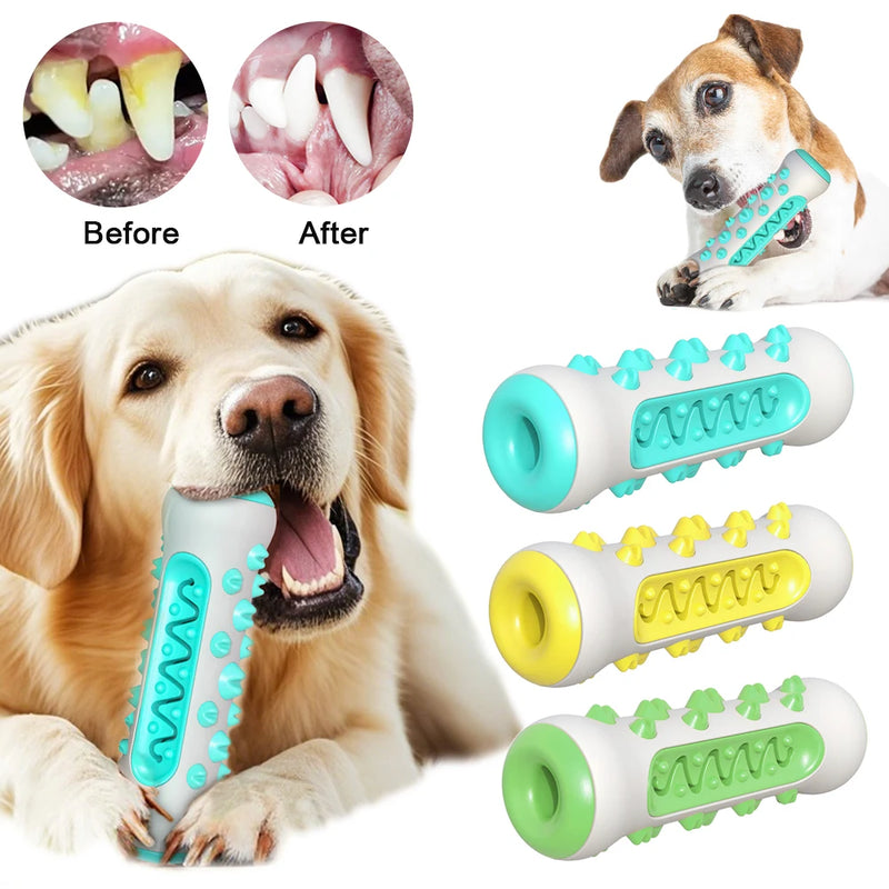 Diversão que Cuida da Saúde Bucal do Seu Cão