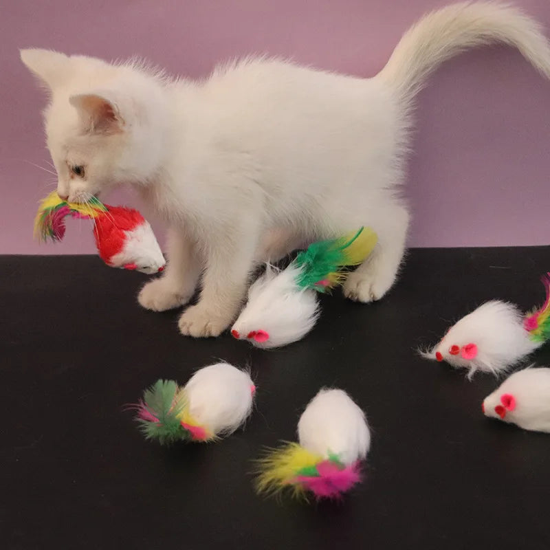 Diversão garantida para seu gatinho